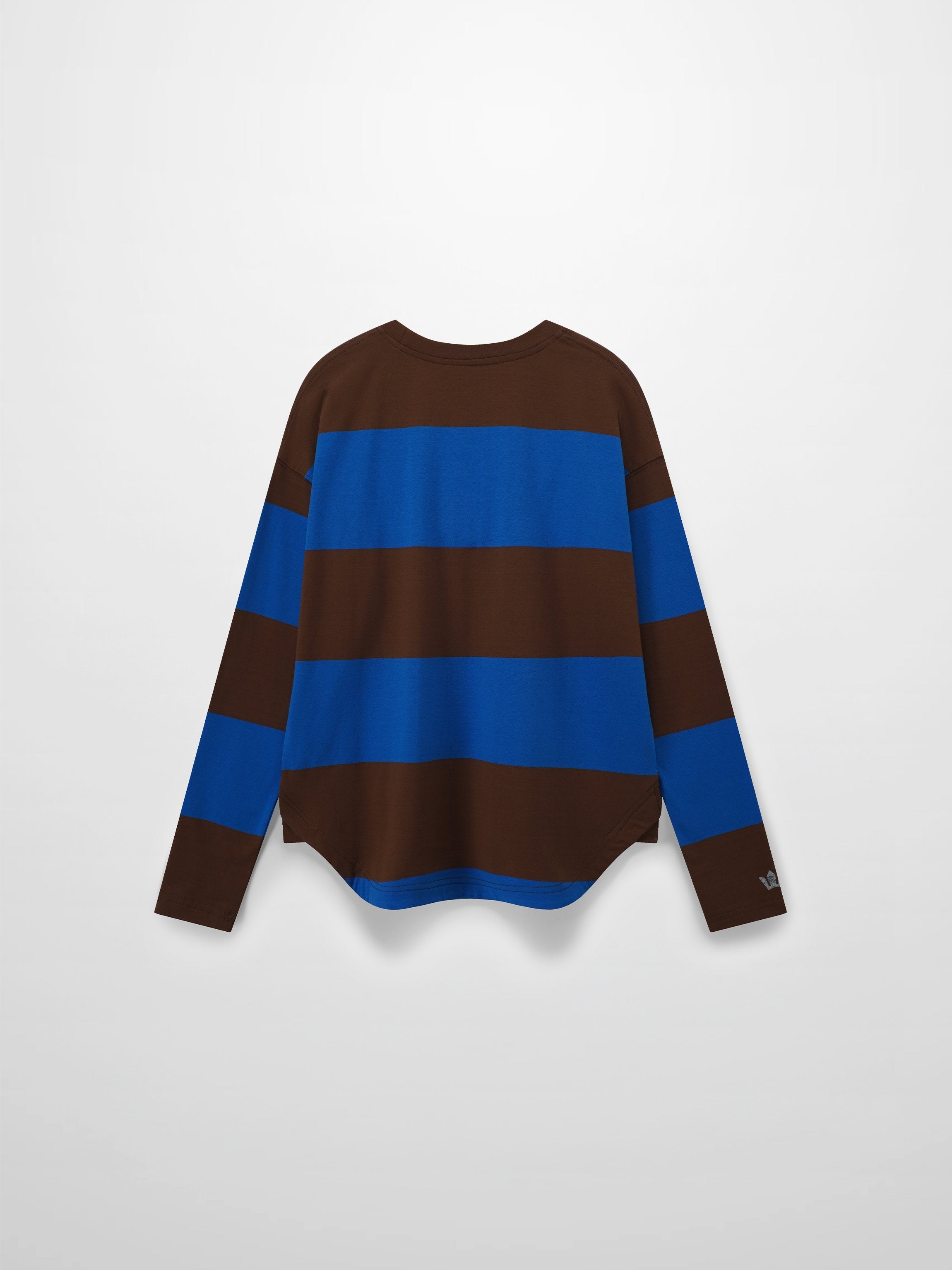 Back view of a long-sleeved, horizontally striped brown and blue shirt.