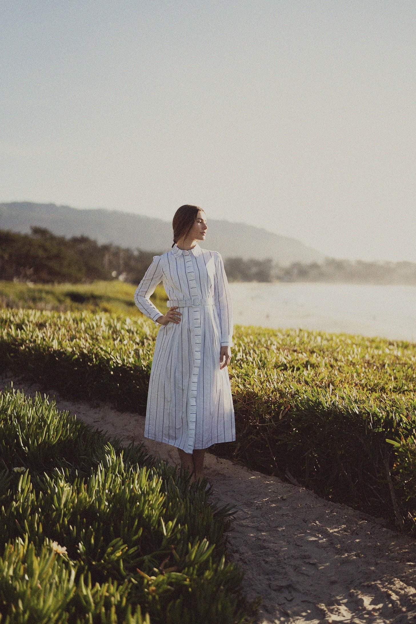 Jeweled Collar Belted Shirtdress-White Pinstripe
