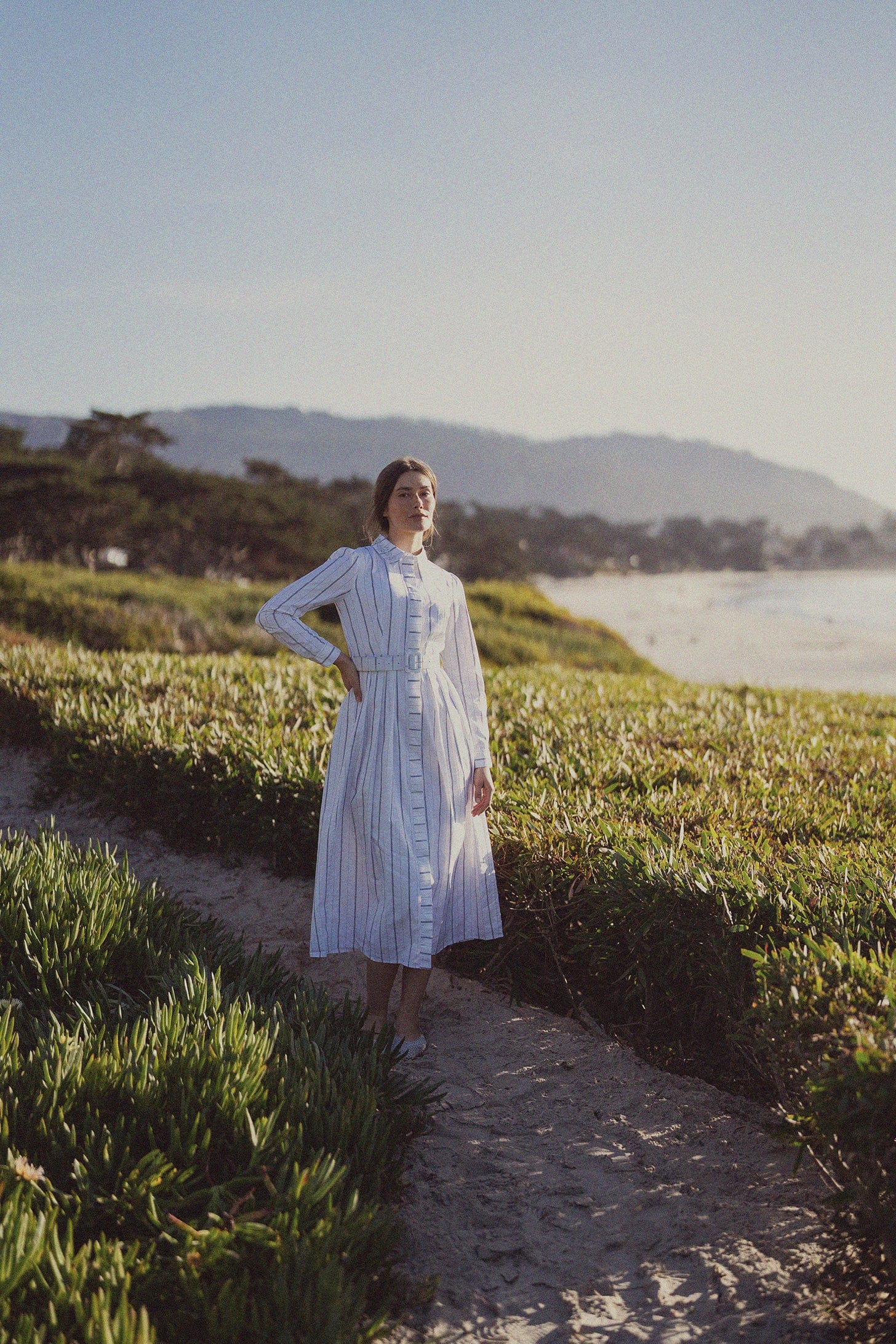 Jeweled Collar Belted Shirtdress-White Pinstripe