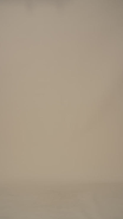 Striped Collar Snap Tee-Tan/White
