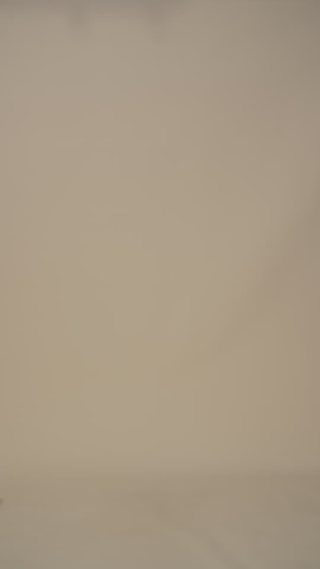 Button Down T-Shirt Blouse-White