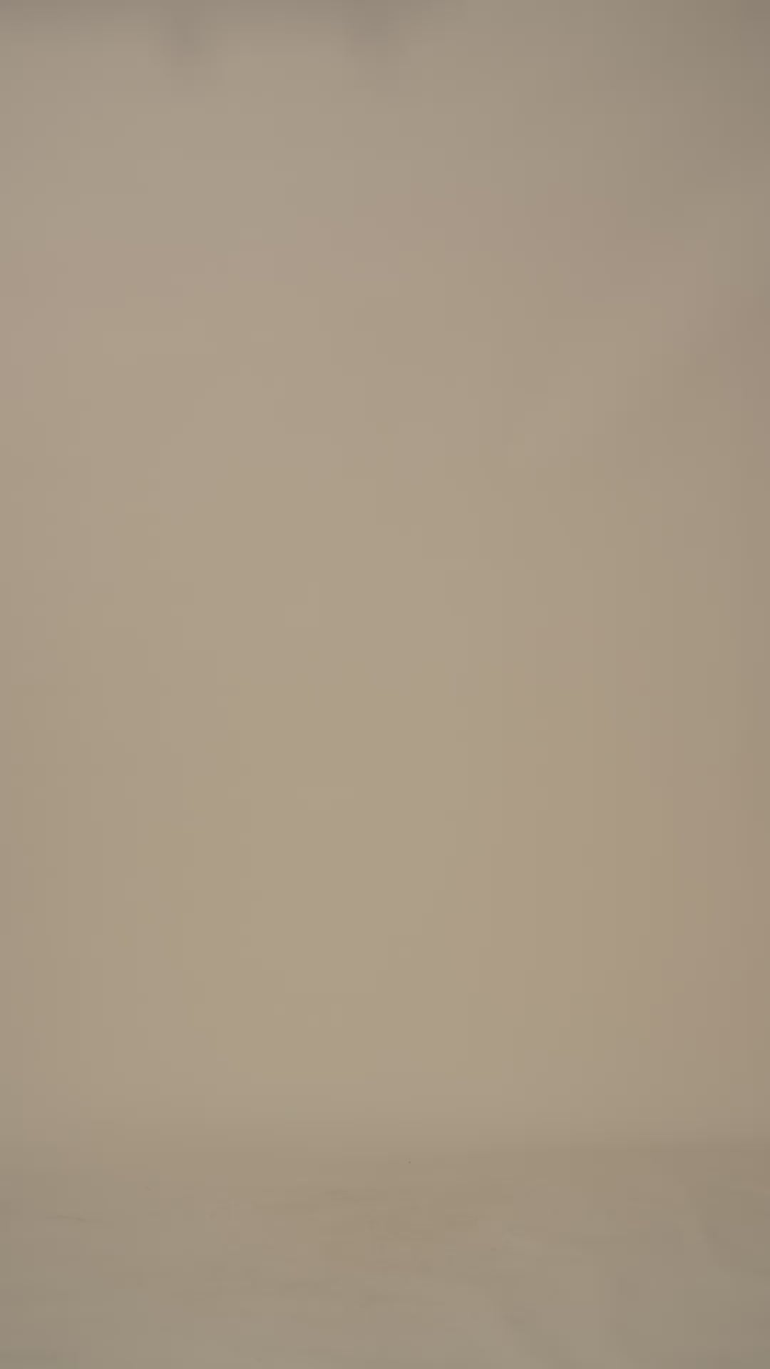 Crown Embossed T-Shirt-Brown/Ivory