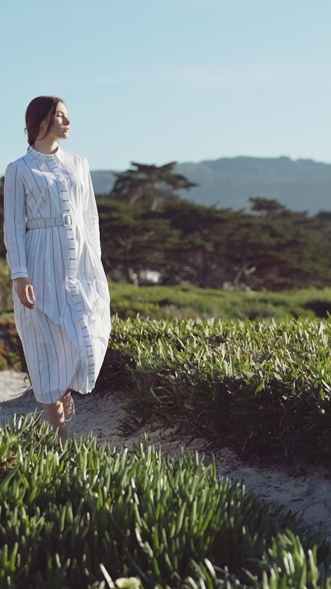 Jeweled Collar Belted Shirtdress-White Pinstripe